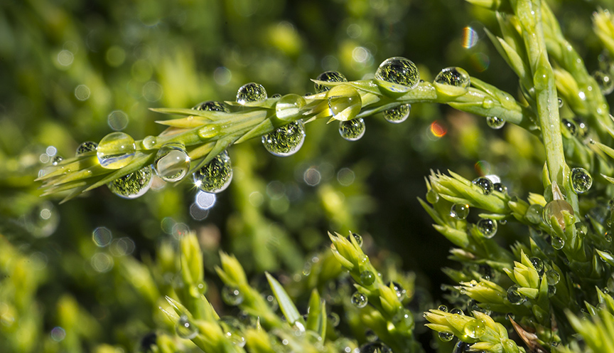 Raindrops 21 3img v2