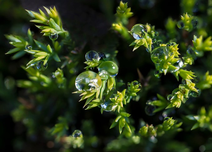 Raindrops stk 10a 7img