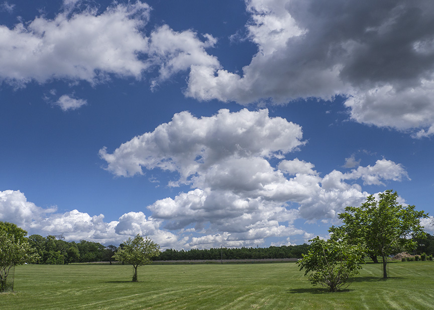 DM Cloud 6 17 v2_1410176