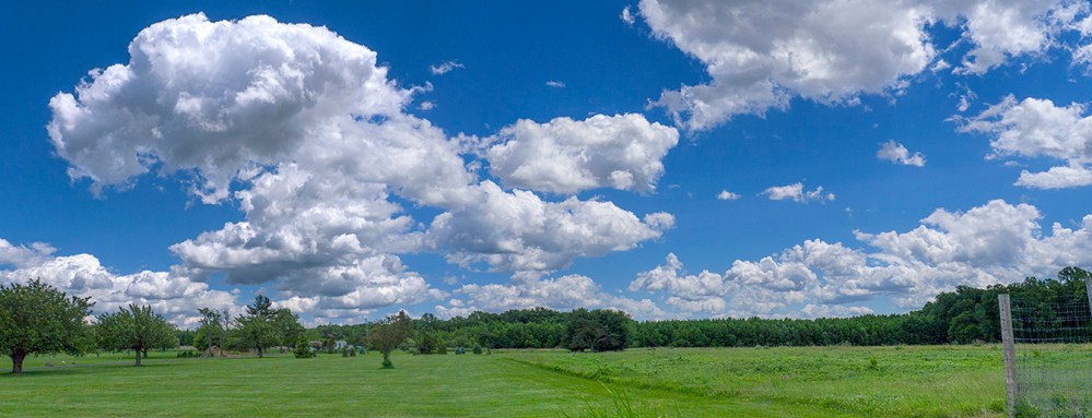 DM Pond Pano stk v5 3img DM 6 17