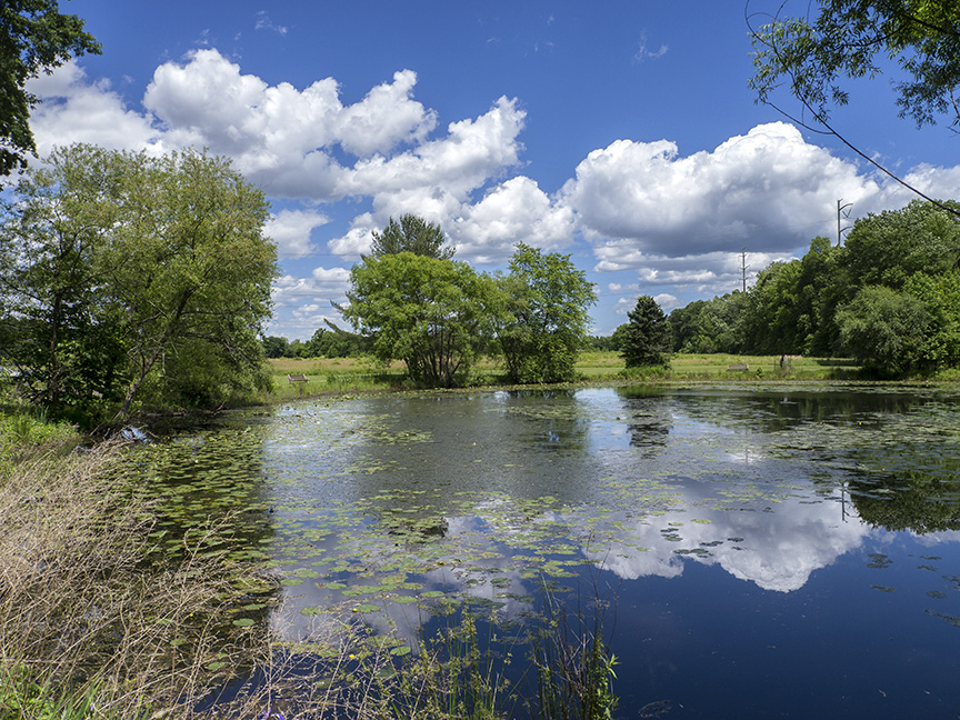 Pond w clouds v1DM 6 17_1410083