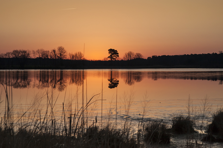 Sunrise BWR v1 75mm_80I5974