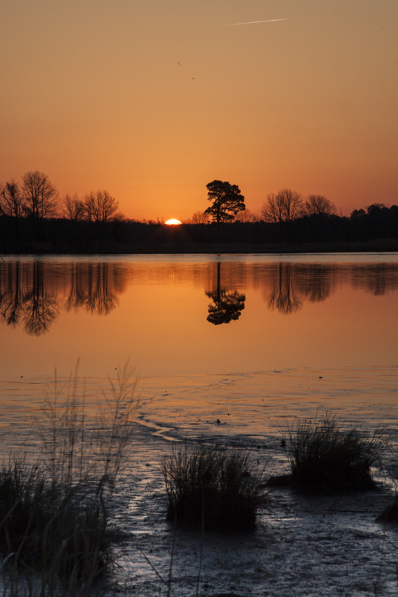 Sunrise BWR v1_80I5993