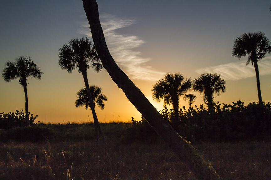 Captiva sunset v1_MG_5445