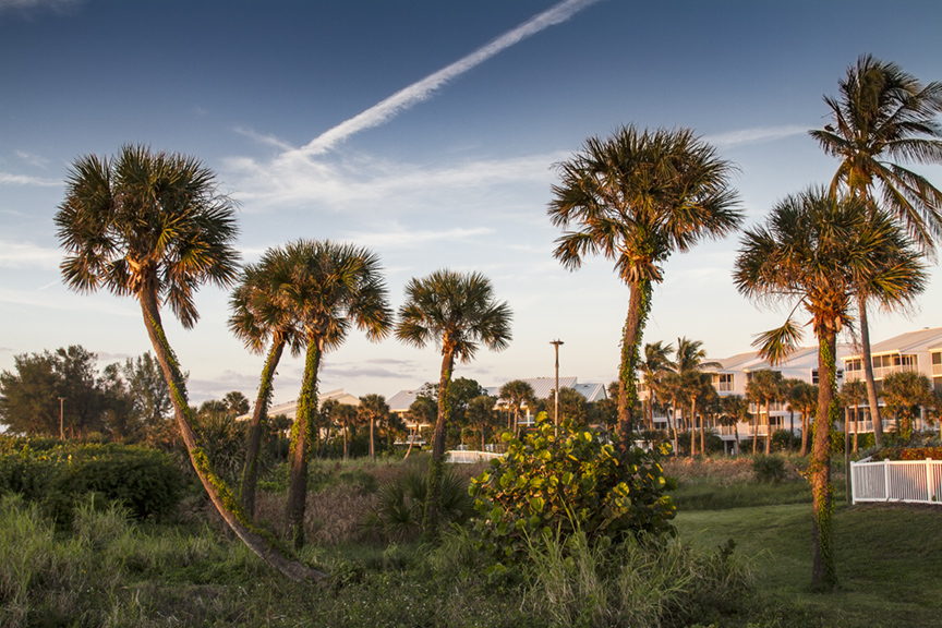 Captiva Sunsetting Reverse_MG_5469