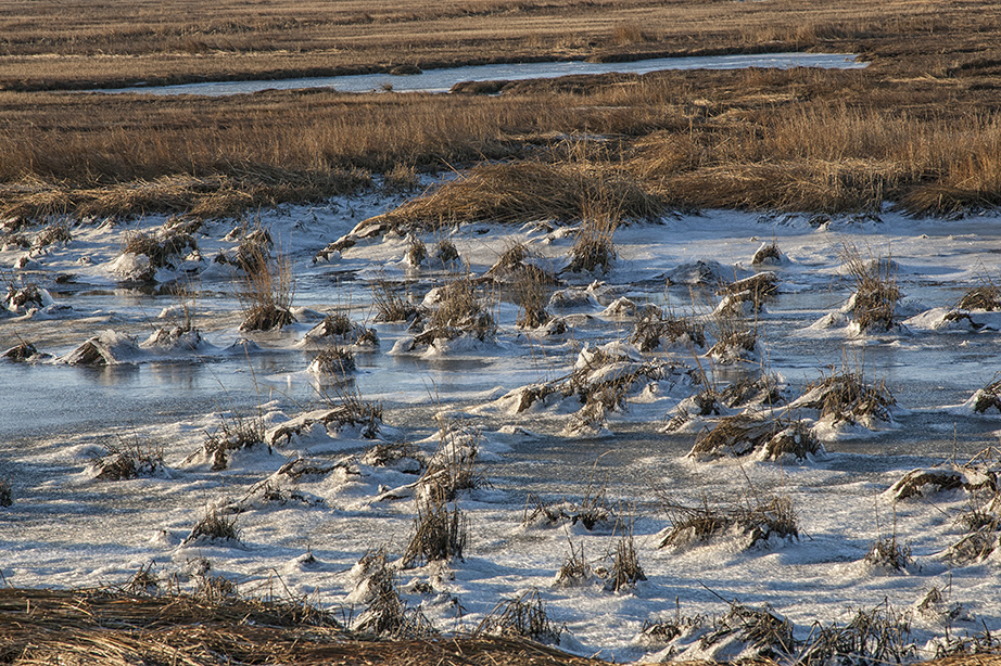 Brig wntr landscp v2NK_105mm_MAL0381