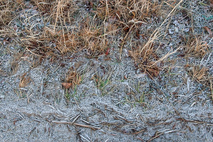 Hoary Frost v1 Brig 1 18_MAL0287