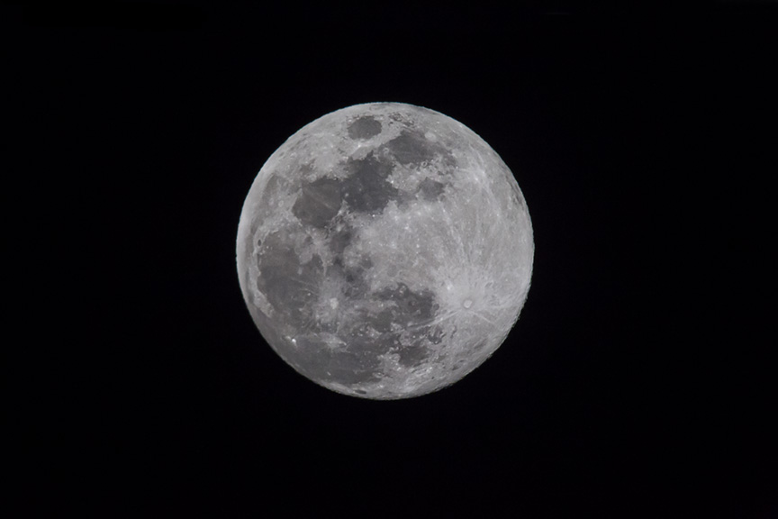 Blue Moon v1_43G4916