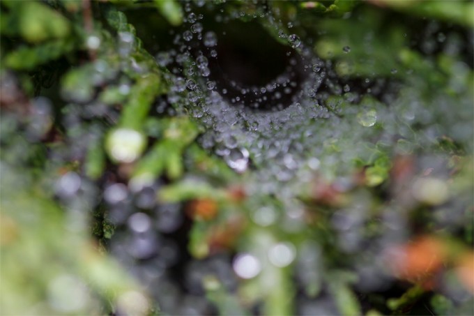 Stacked Raindrops end