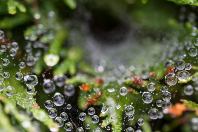 Stacked Raindrops start