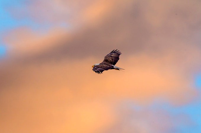 BE HiFlight_Sunrise BWR v3_43G9720