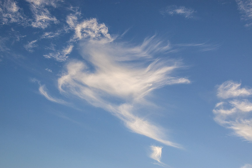 Bird_Clouds v1_80I9568