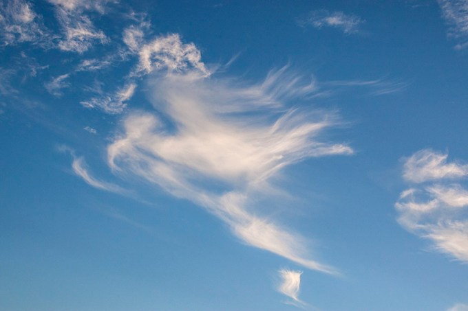 Bird_Clouds v1_80I9568