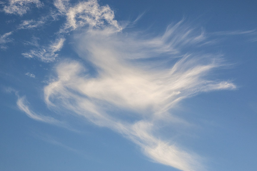 Bird_Clouds v1_80I9571