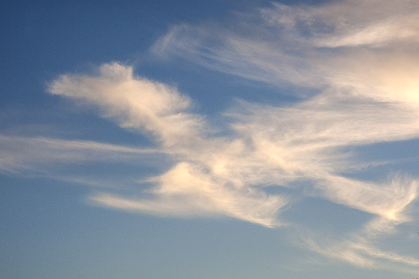 Bird_Clouds v2_80I9575