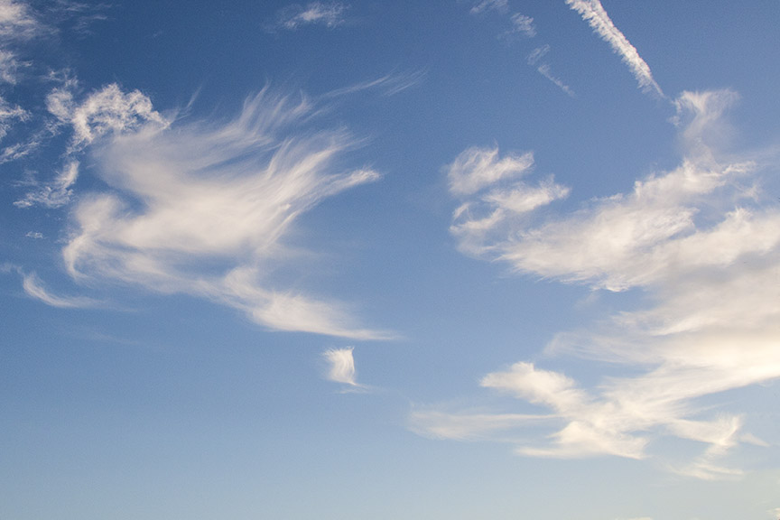 Bird_Clouds_80I9564