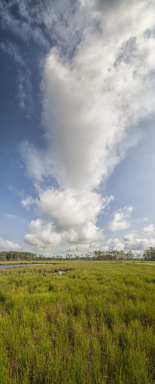 BWR_Cloud_3img_vert_pano_12mm