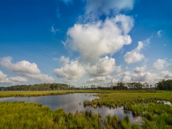 BWR_Lit_BlkWtr_River_from Observ_pltfrm_v1_MAL6065