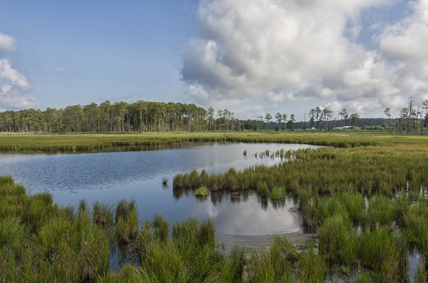 BWR_VW Lt_BlkWtr_Riv_v1_MAL5855