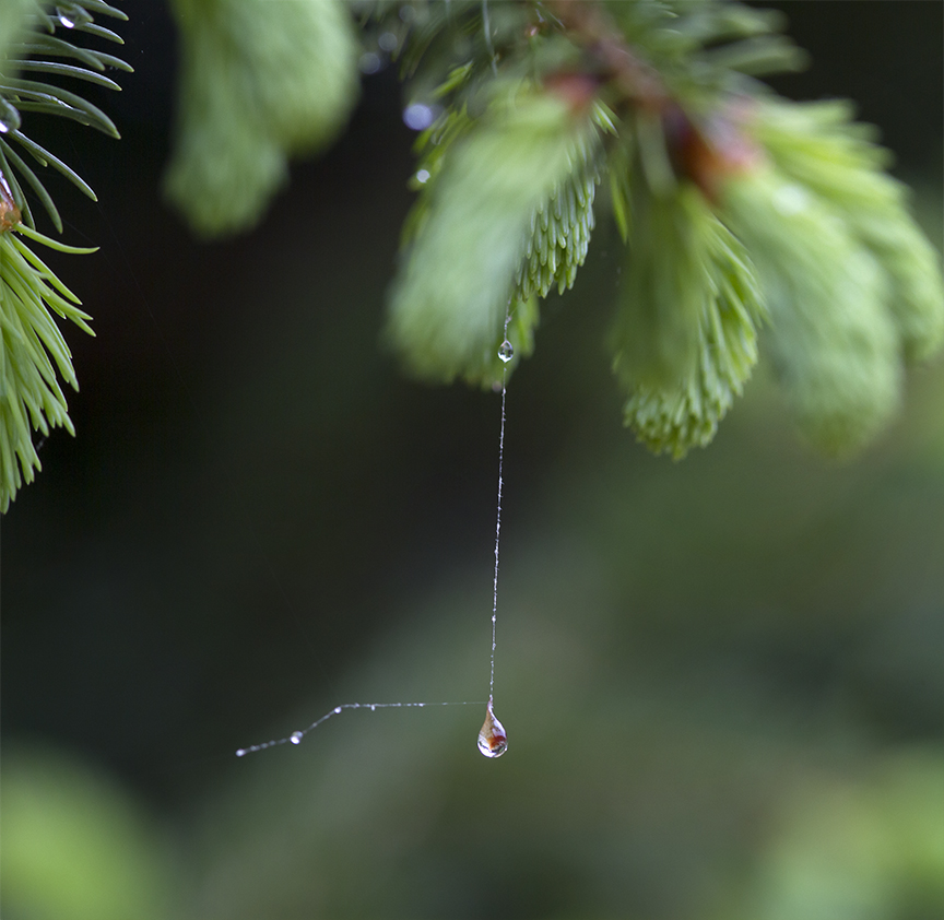 WaterDrop_web_2img blend