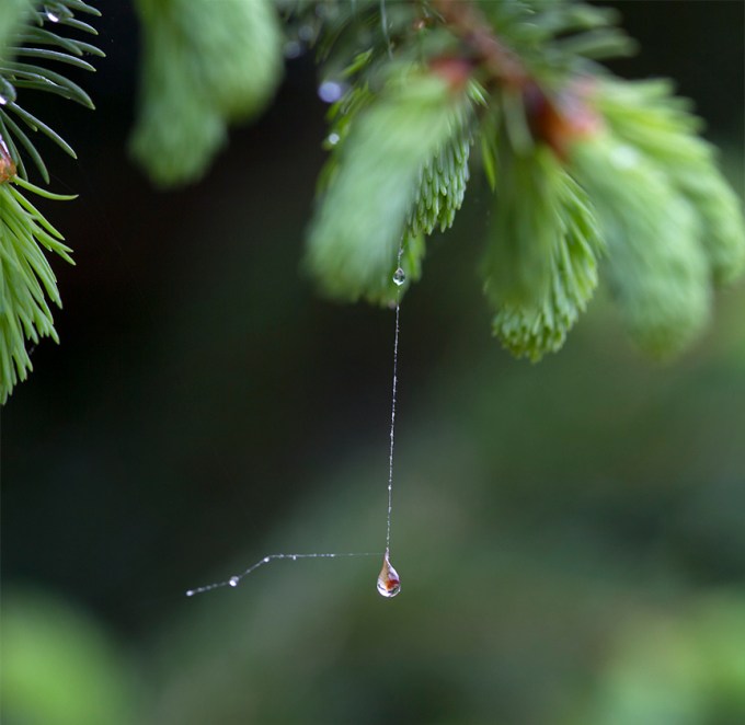 WaterDrop_web_2img blend