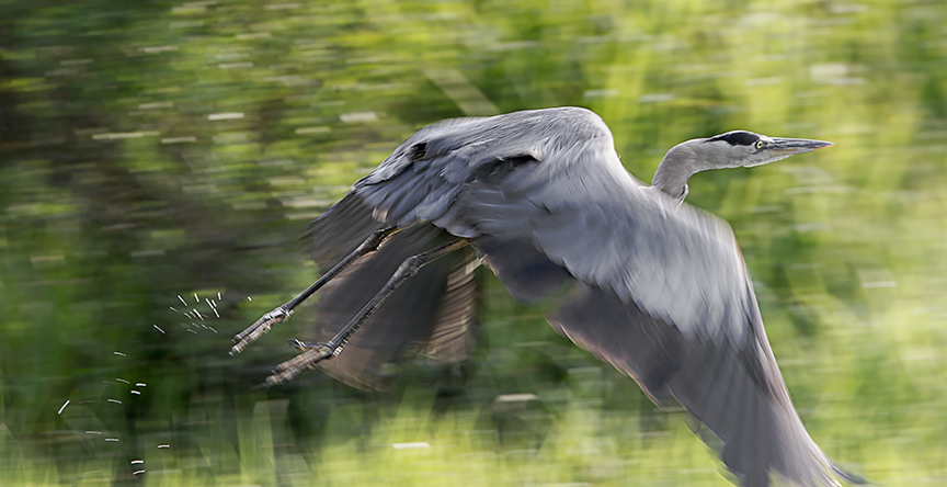 GBH_v1_BWR_7_18_43G6263