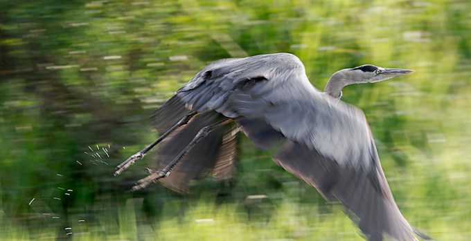 GBH_v1_BWR_7_18_43G6263