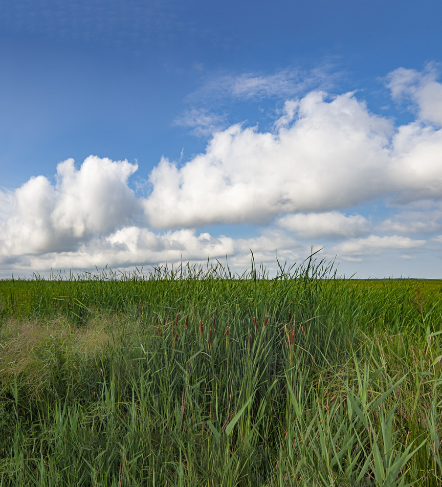 BWR_4imgPano_clouds_2018_v2