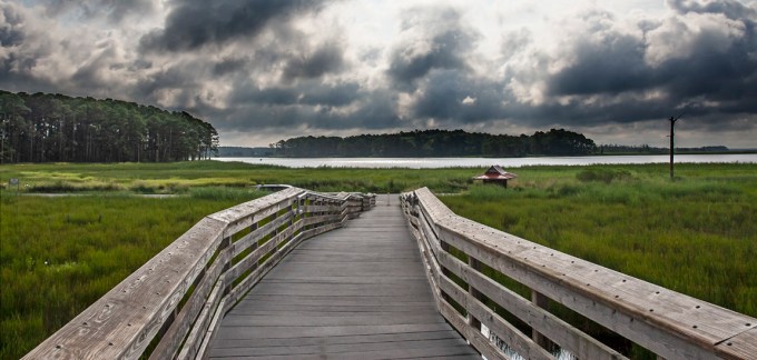 BWR_Lndscp_MAL5944 v2