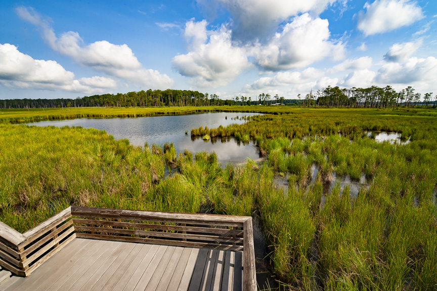 BWR_lndscp_v1_MAL6058