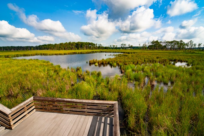 BWR_lndscp_v1_MAL6058