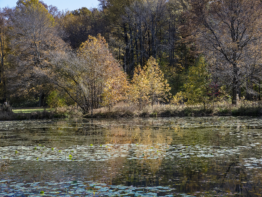 DM_11_18_Sm_pond v1_1450897