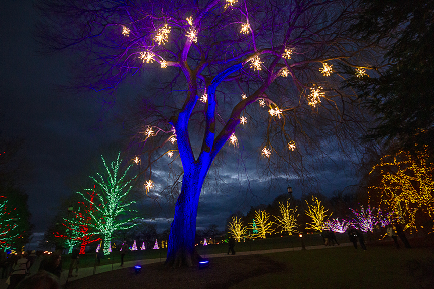 Night Lights_v1_43G0831