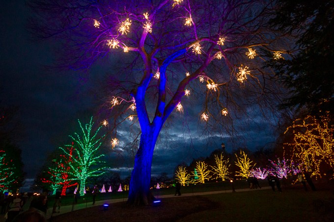 Night Lights_v1_43G0831