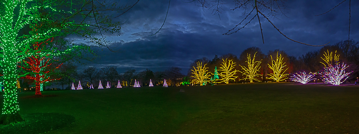 Night_lights_3img pano_12mm_v2_43G0867