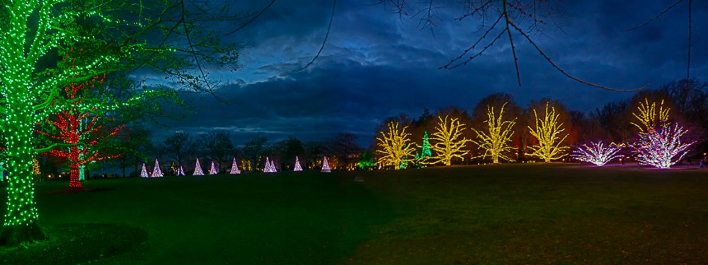 Night_lights_3img pano_12mm_v2_43G0867