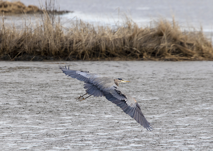 GBH_Brig_v2_Brig_2_1976A1625