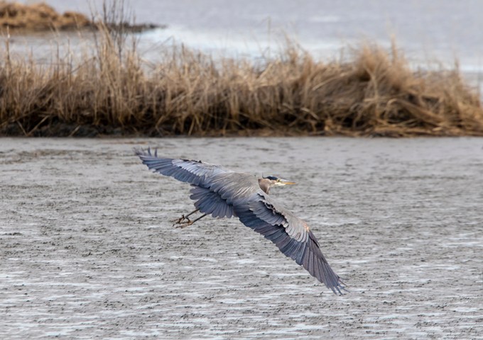 GBH_Brig_v2_Brig_2_1976A1625