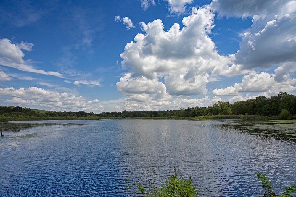 CF_Lndscp_V1_1mg_17mm_76A1559