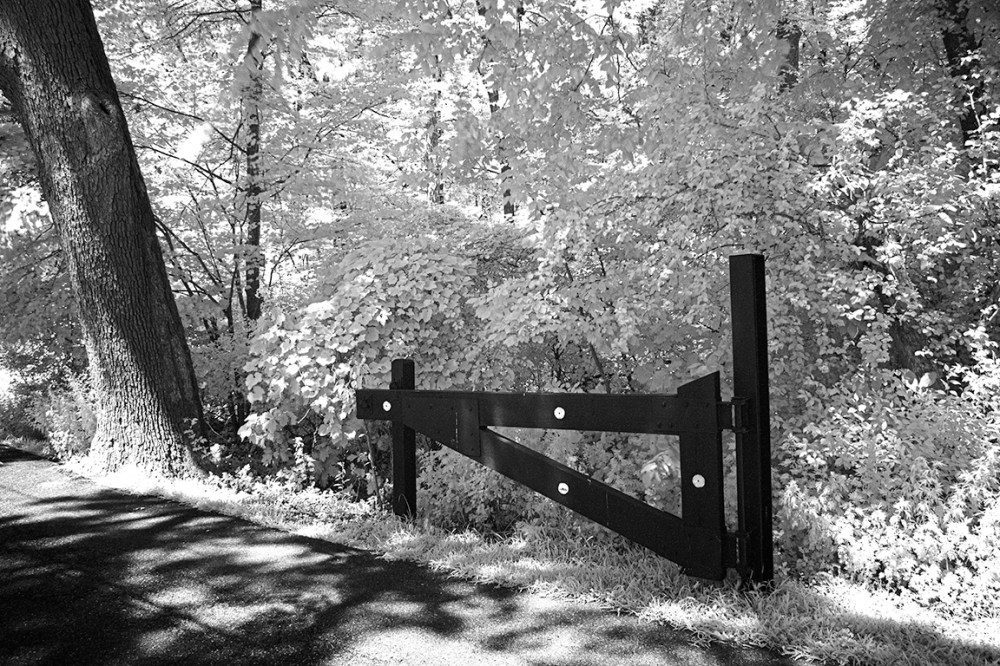 DM Gate_Ir_v2_76A1535