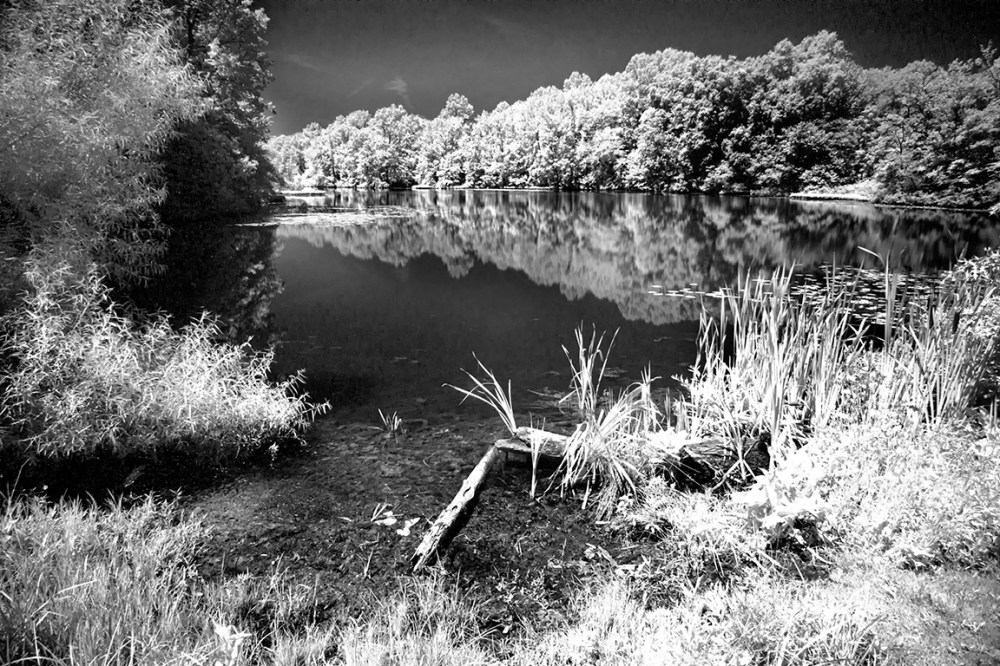 DM Pond v2_2img pano_76A1553