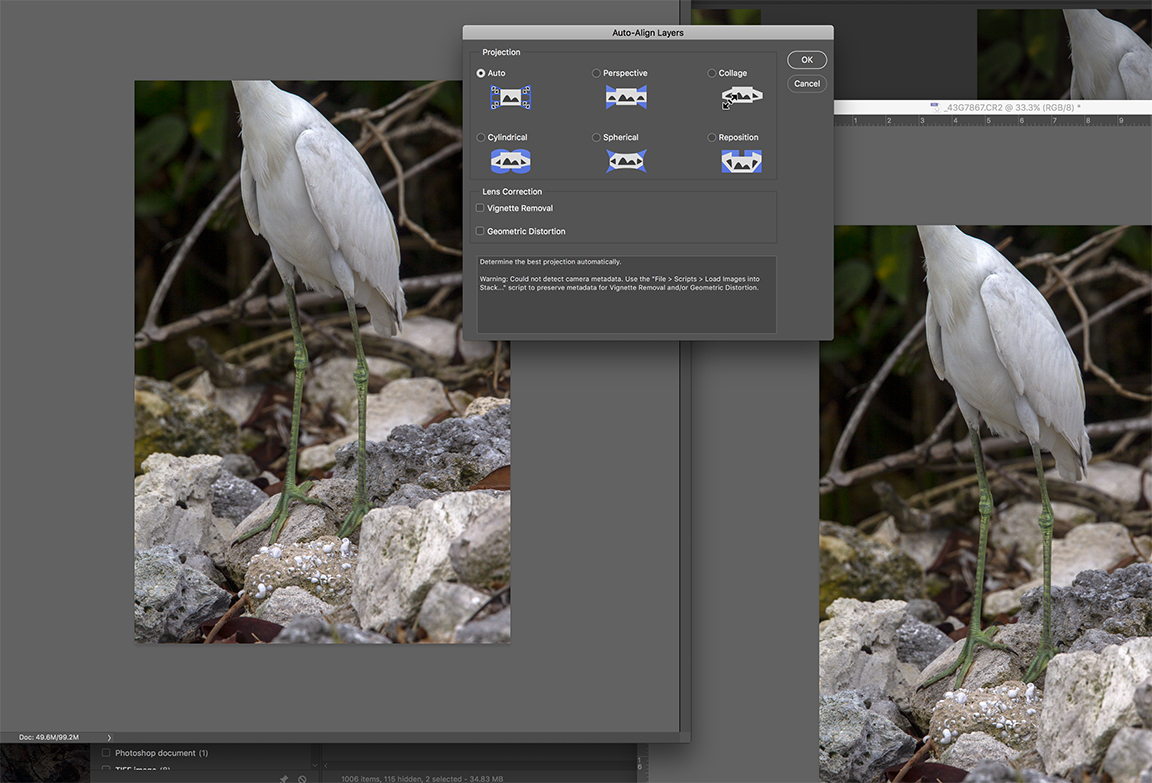 Screen Shot 2019-07-07 at 6.00.19 PM copy