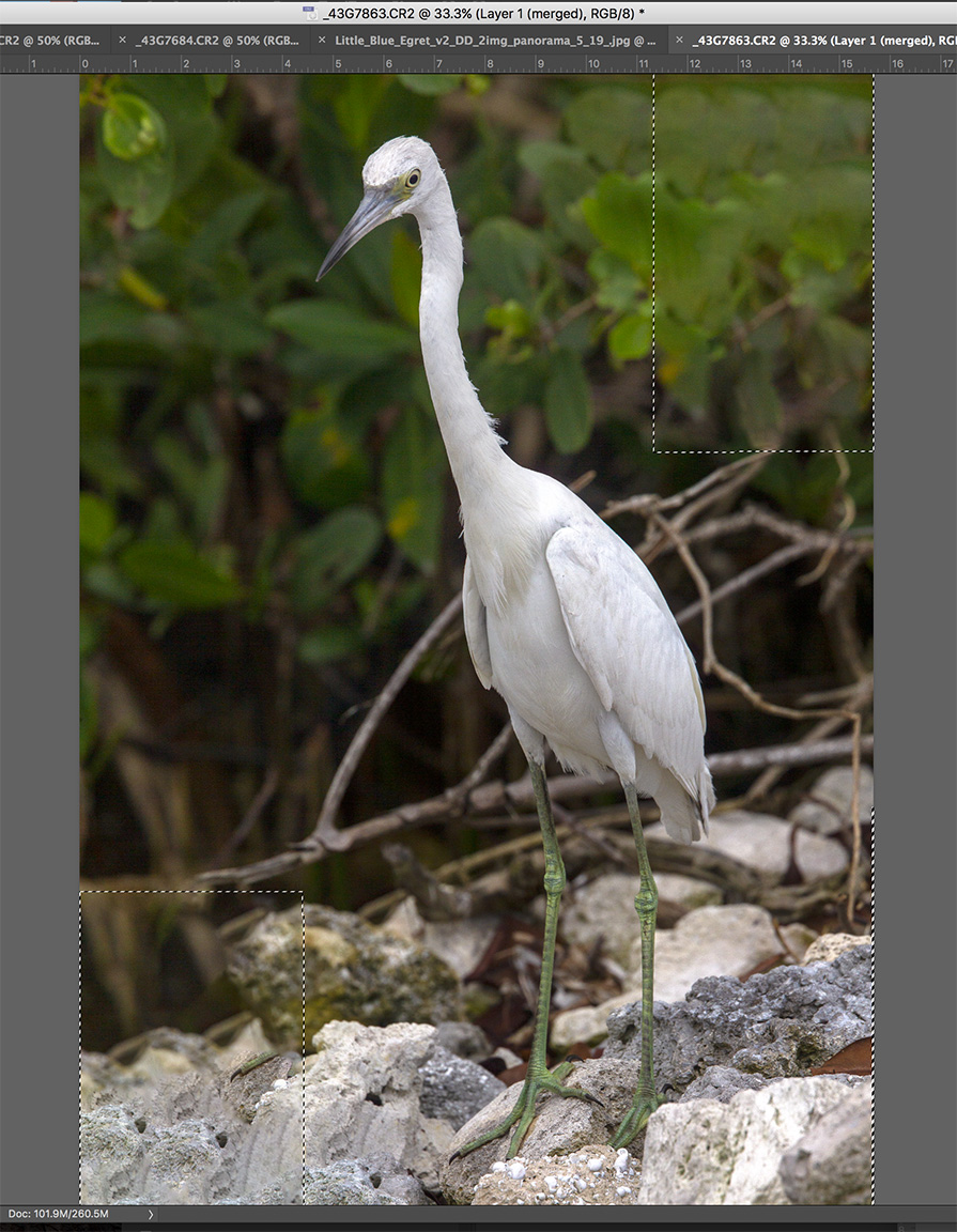 Screen Shot 2019-07-07 at 6.03.12 PM copy