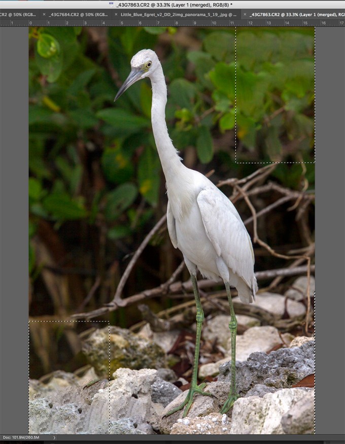 Screen Shot 2019-07-07 at 6.03.12 PM copy