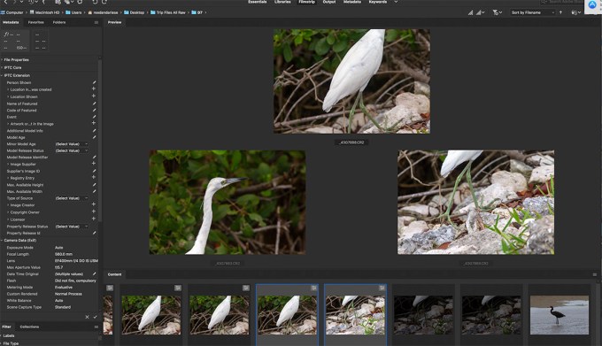 Screen Shot 2019-07-07 at 7.05.23 PM copy