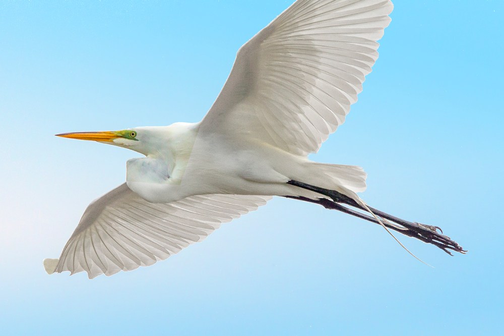 GE v1_DD_400mm_v3_4X_43G8989