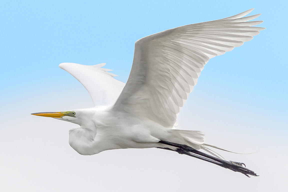 GE_DD_v2_400mm_w_1_4X_43G8984