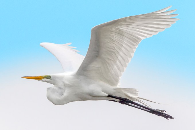 GE_DD_v2_400mm_w_1_4X_43G8984