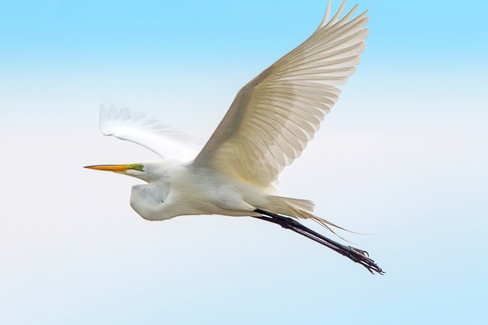 GE_DD_v3_400mm_w1_4X_43G8987