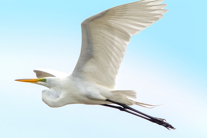 GE_v2_DD_2019_400mm_1_4X_43G8988